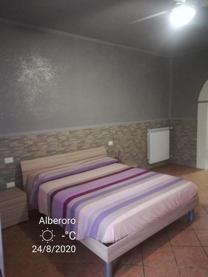 New Lifestyle Alberoro